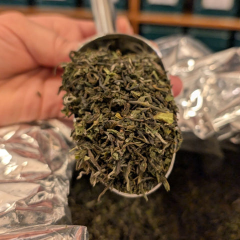 Darjeeling - Samabeong First Flush Neue Ernte 2025