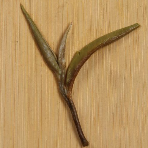 Theejuwel - China Downy Silver Needle